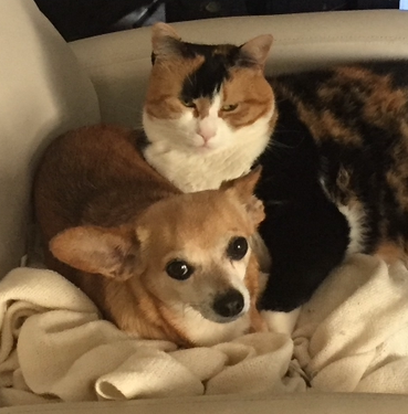 Room and Linen Spray